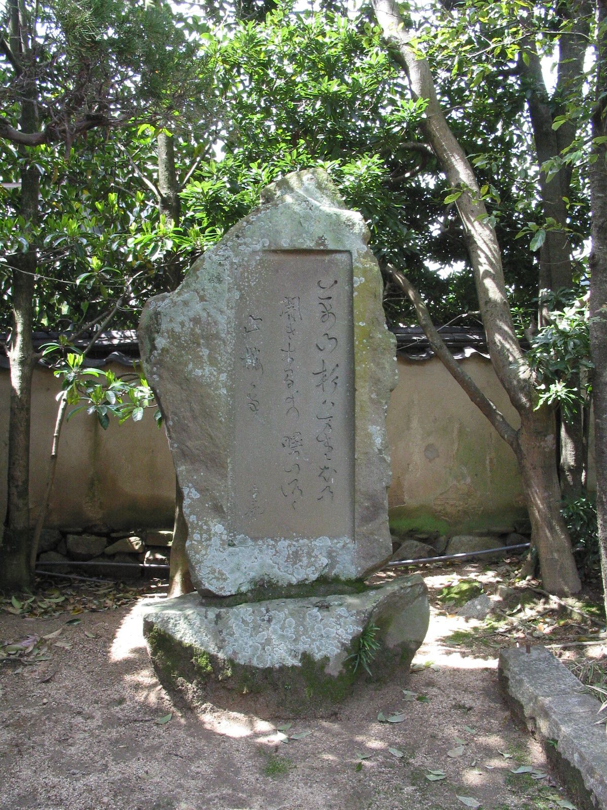 正面全景