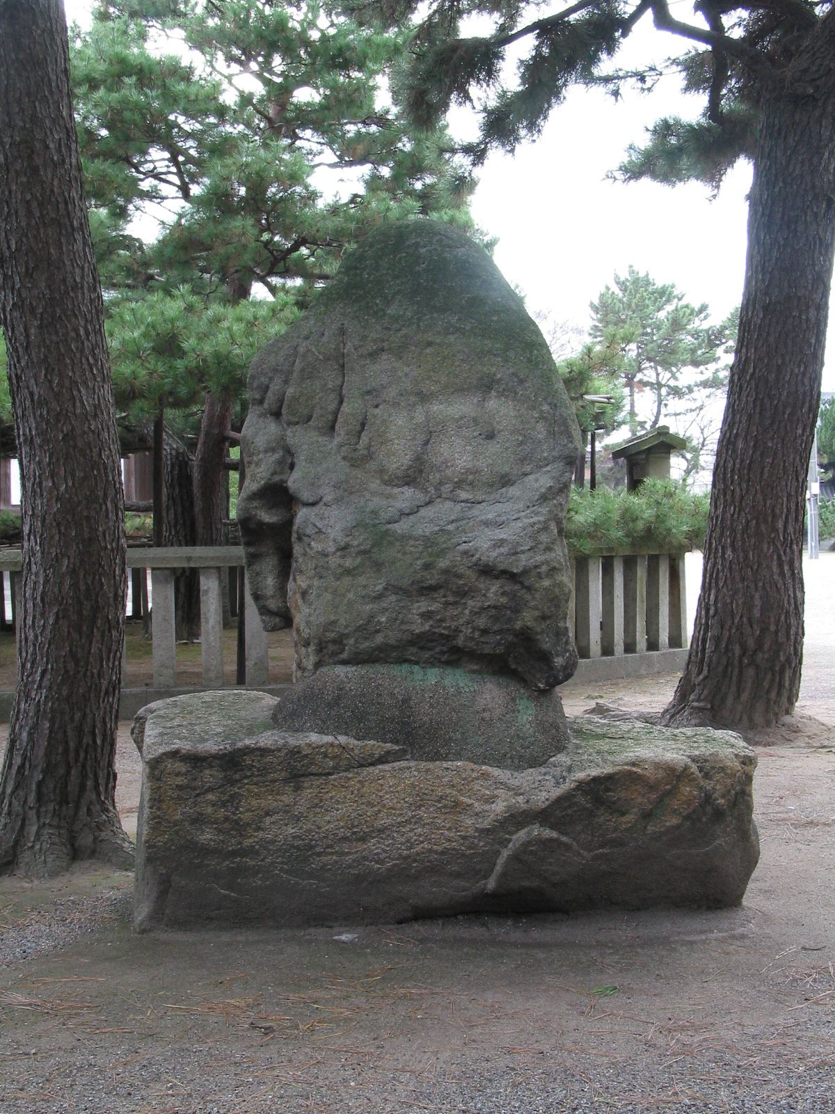 背面全景