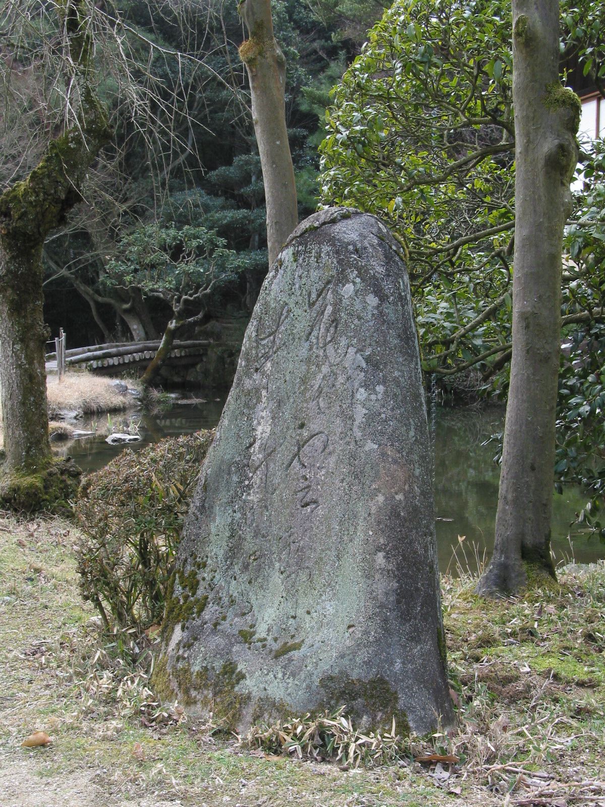 右全景