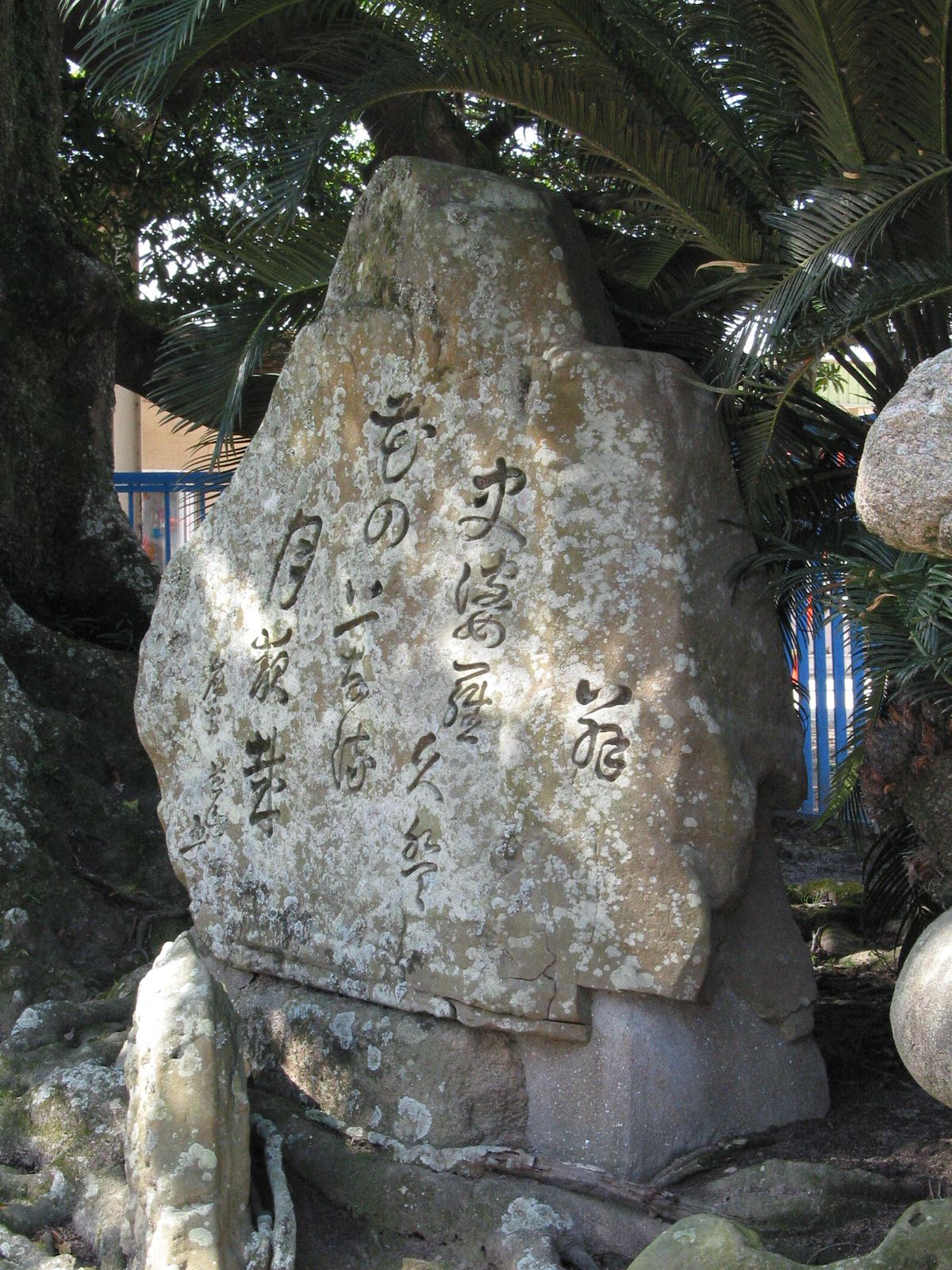 右斜め全景