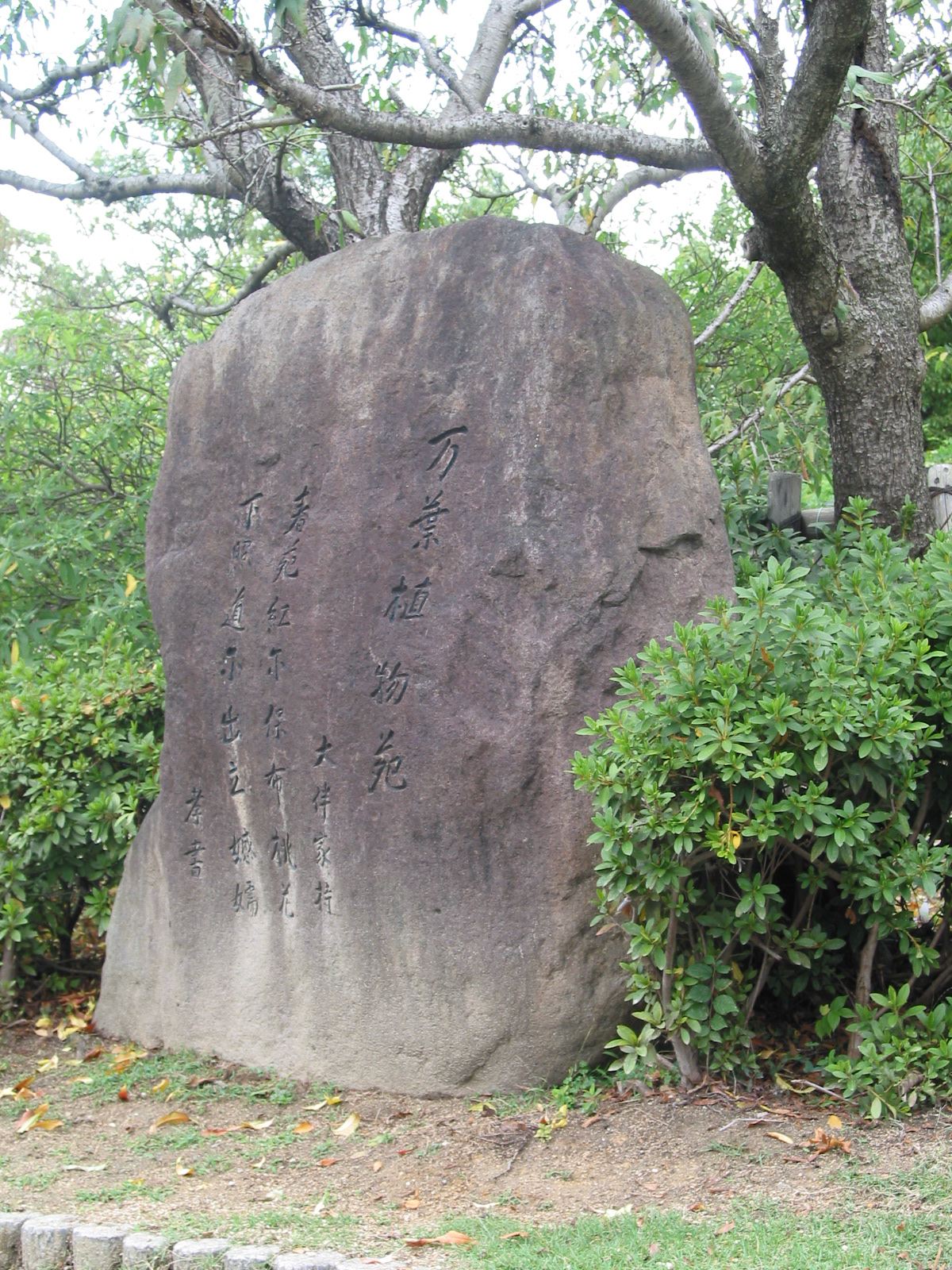 右斜め全景
