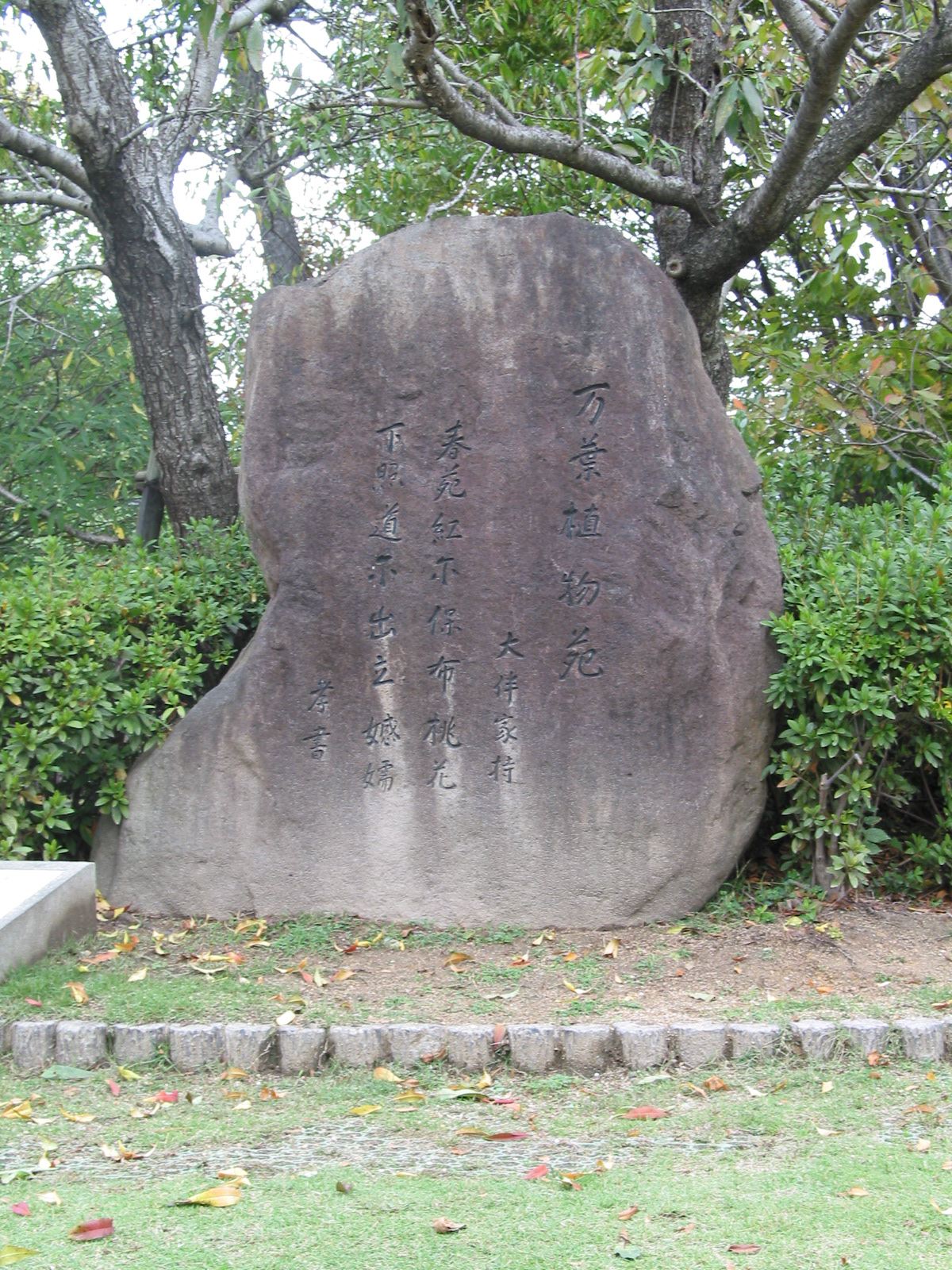 正面全景