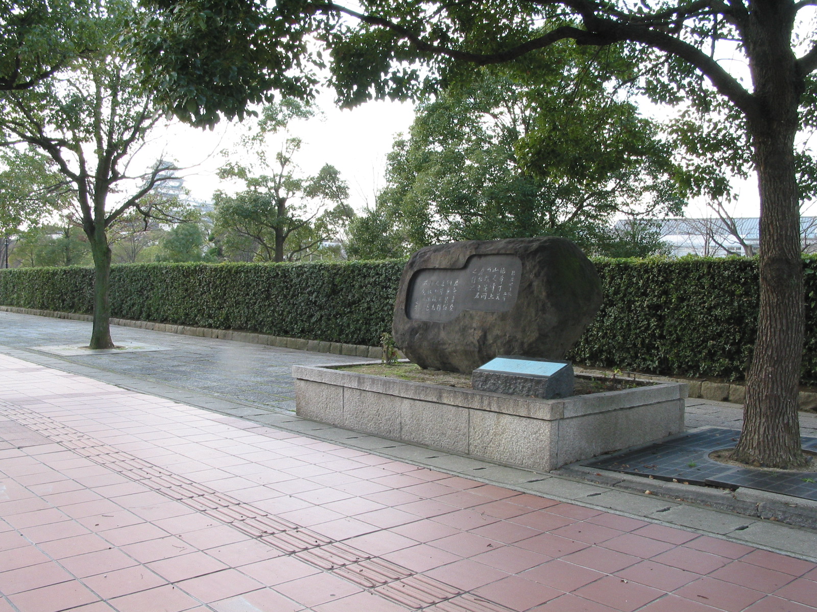 右全景