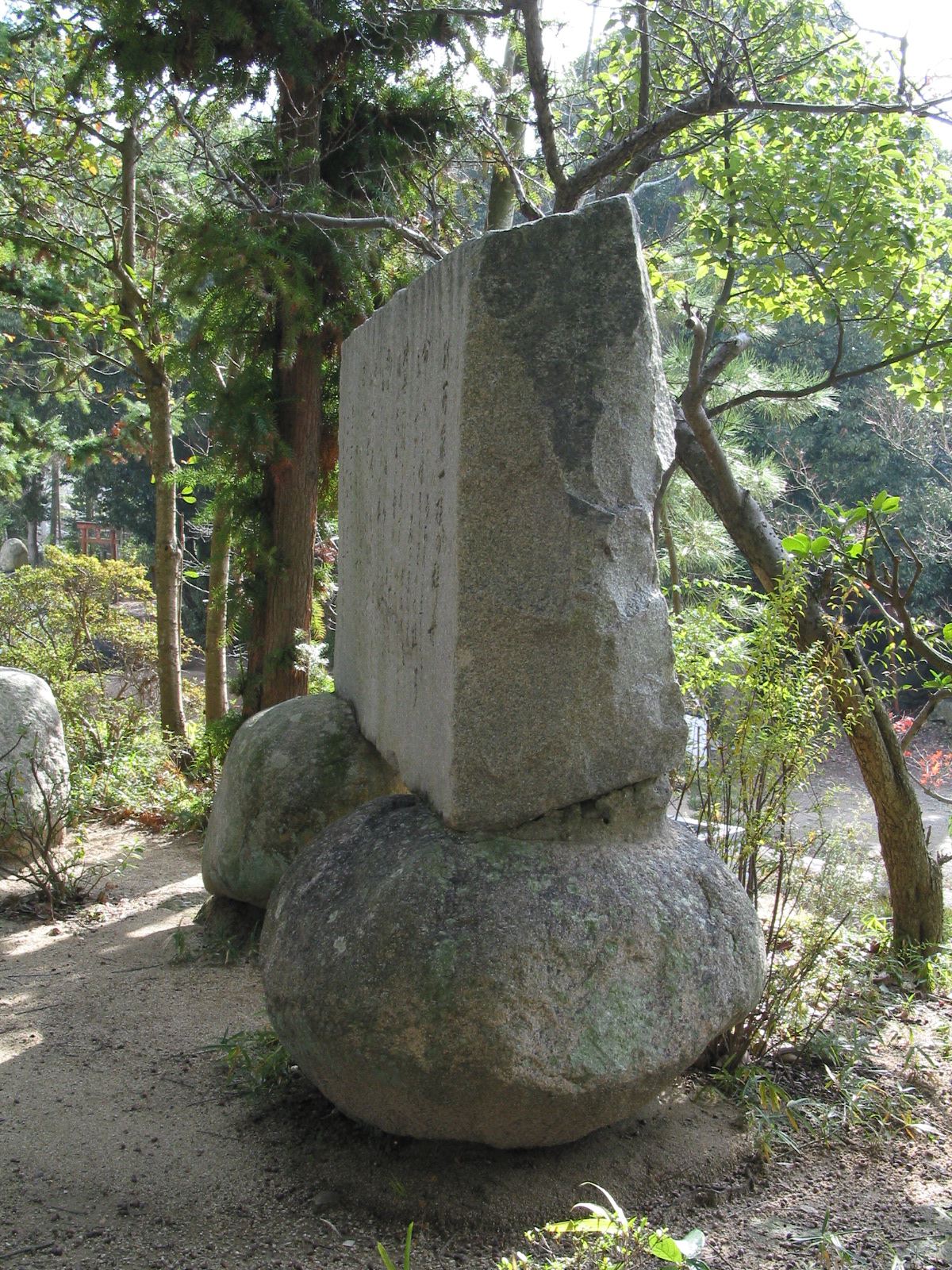 右全景