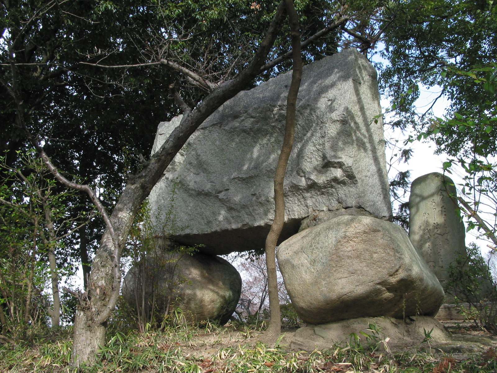背面全景
