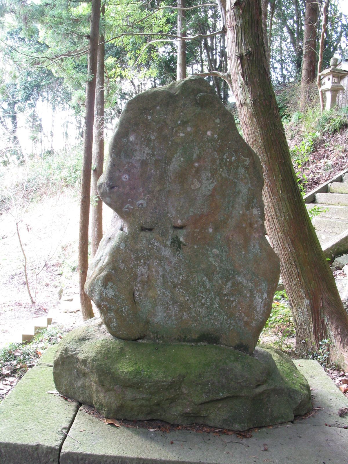 背面全景