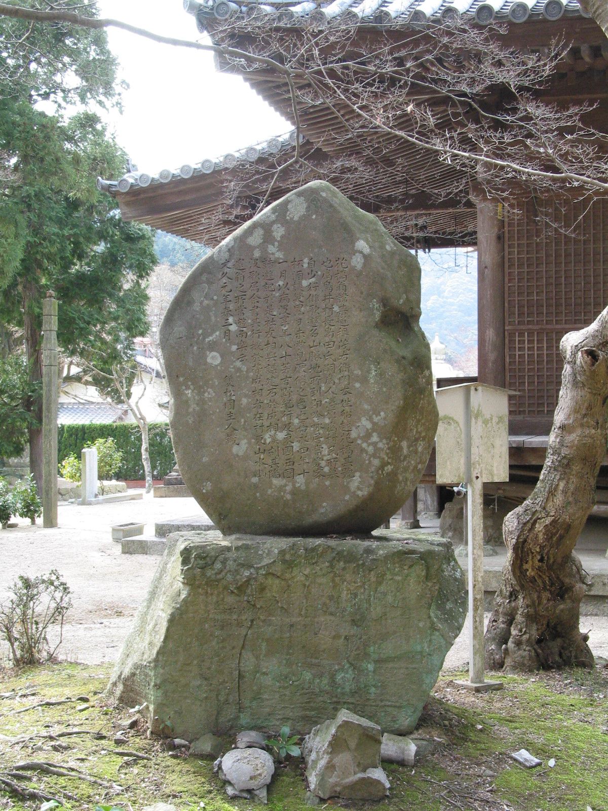 背面全景