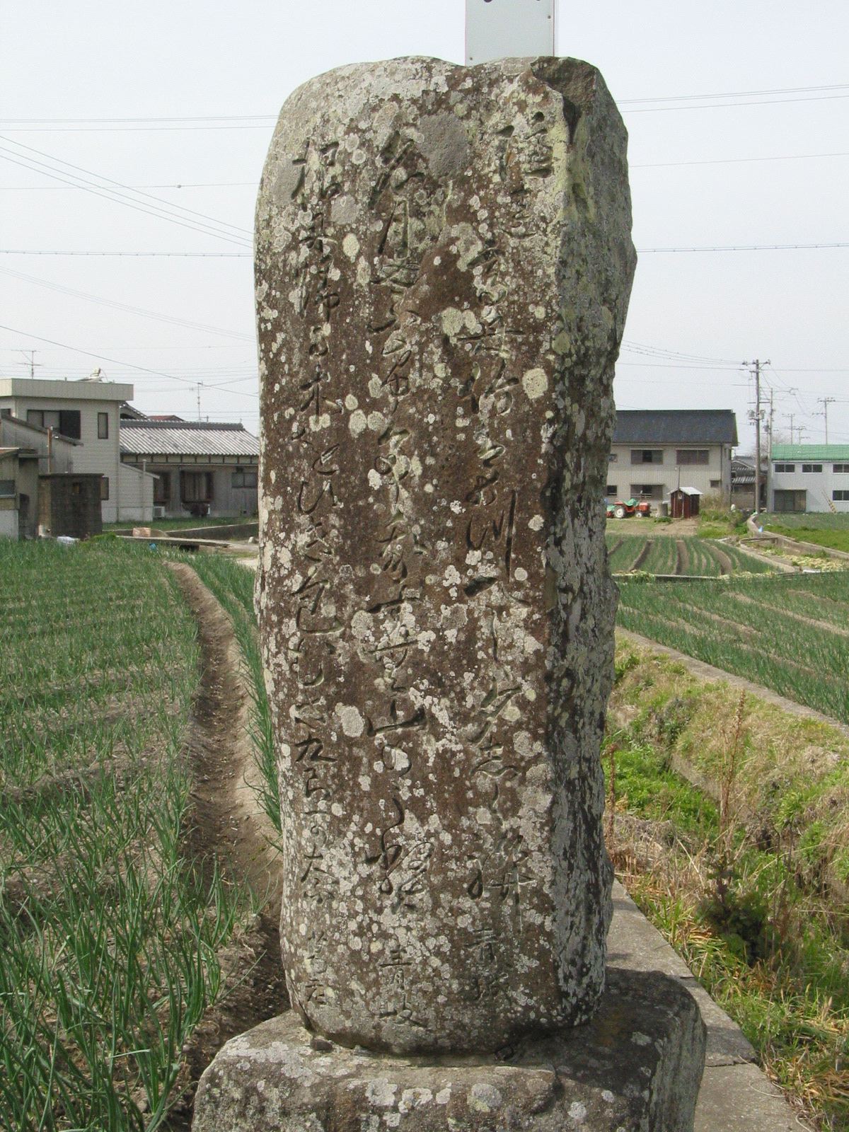 右斜め全景