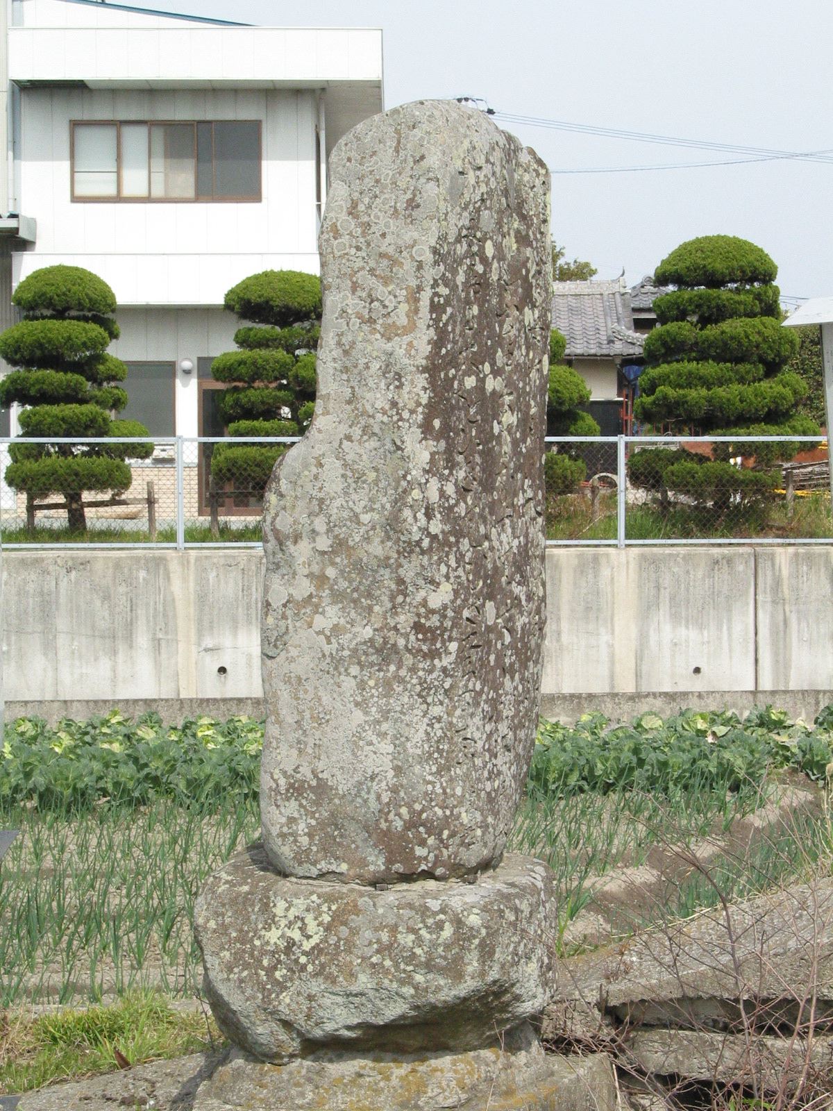 背面全景