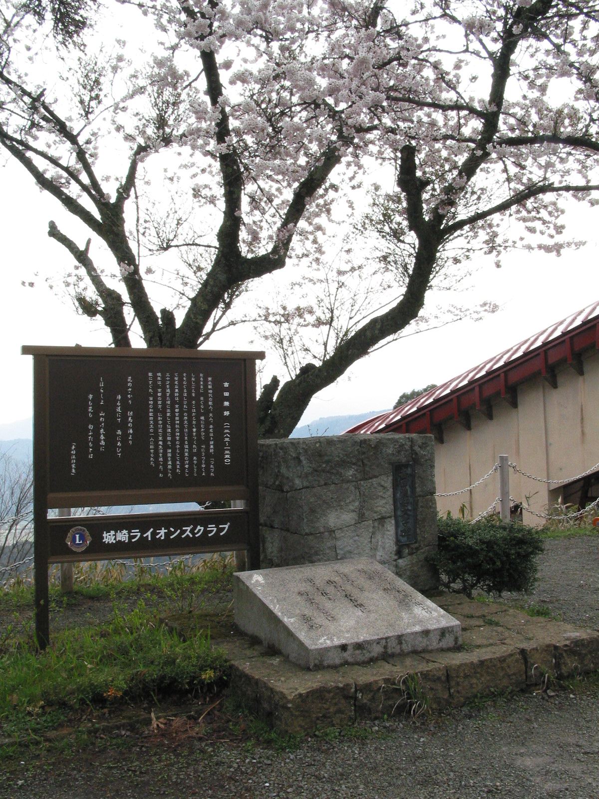 全景