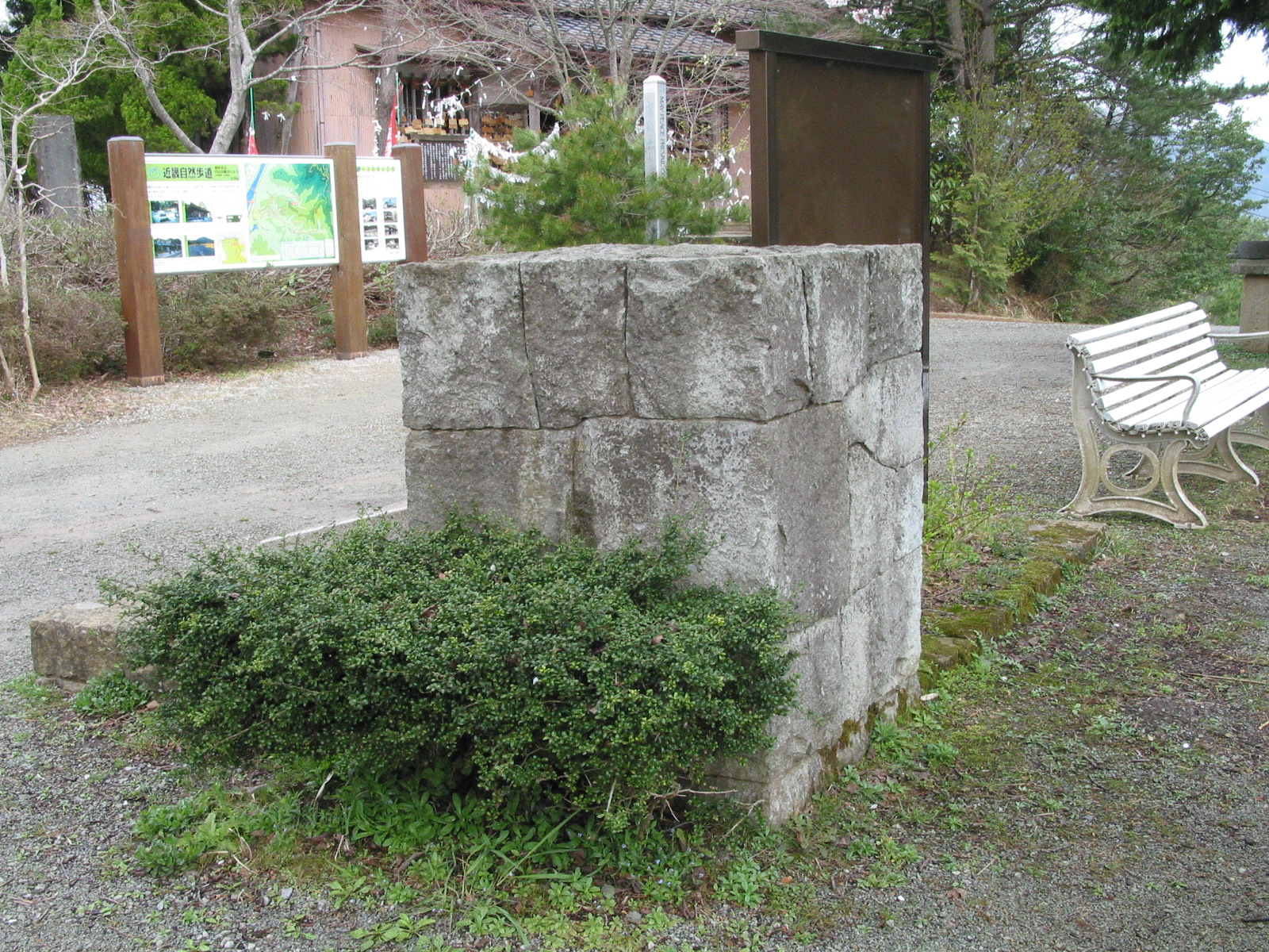 背面