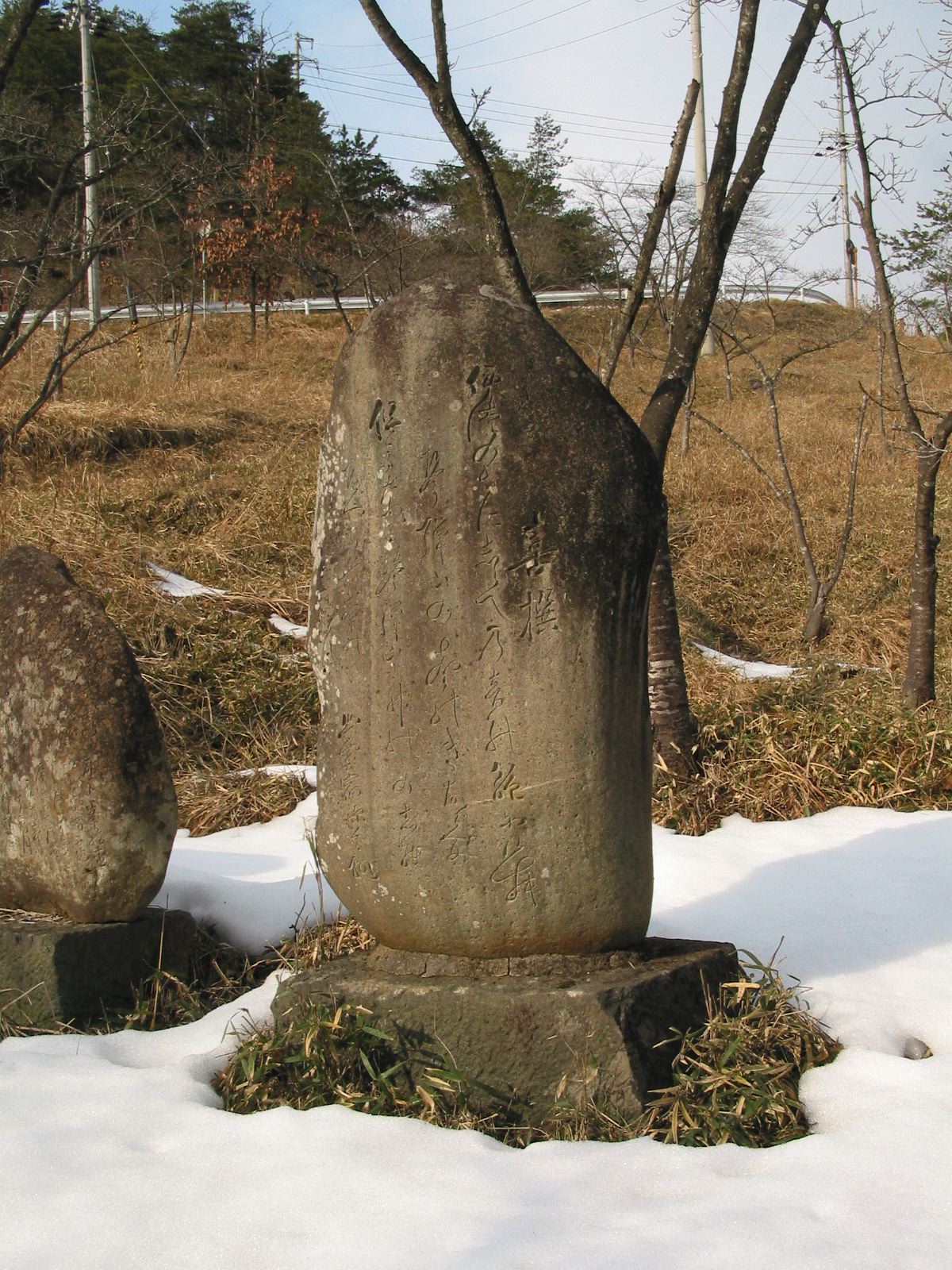 全景
