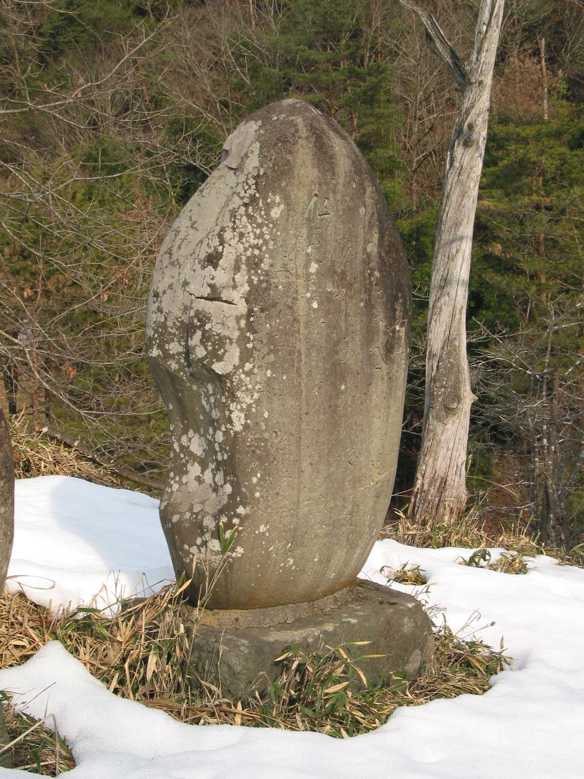 背面