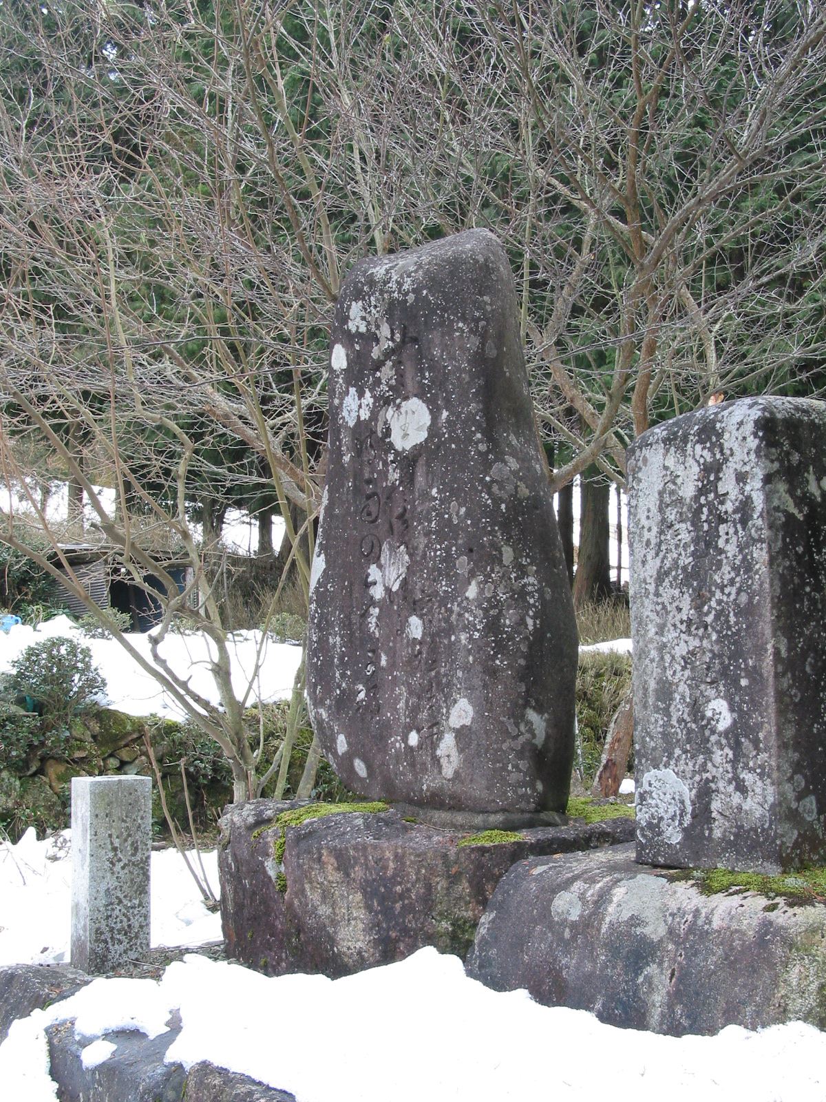 右全景