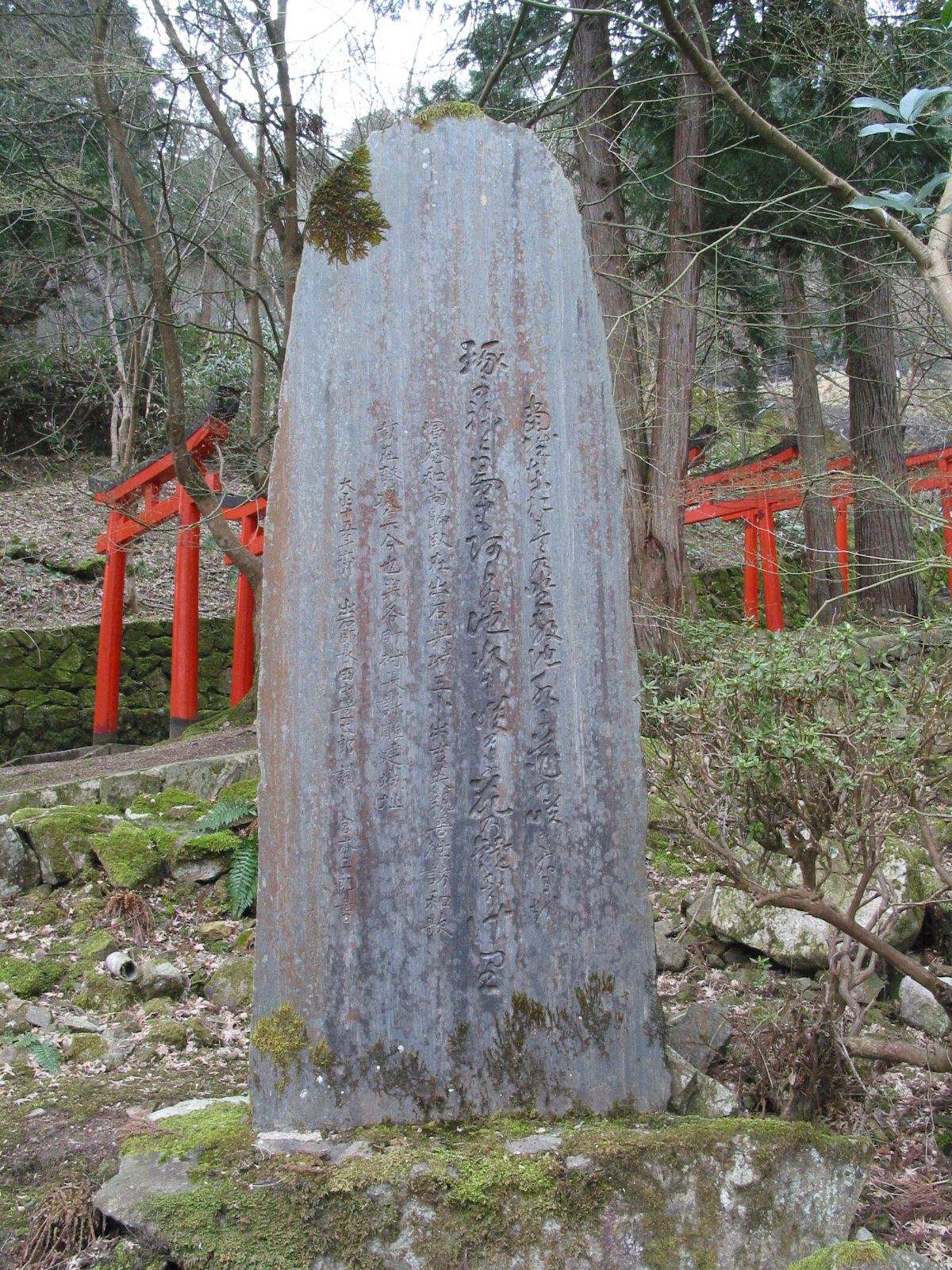 全景