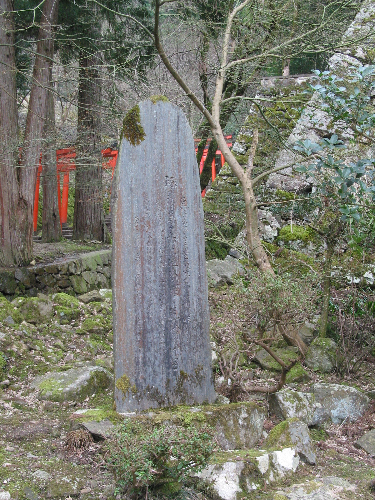 遠景