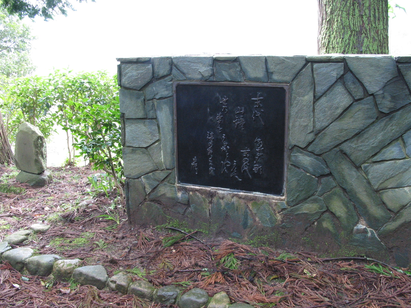 全景
