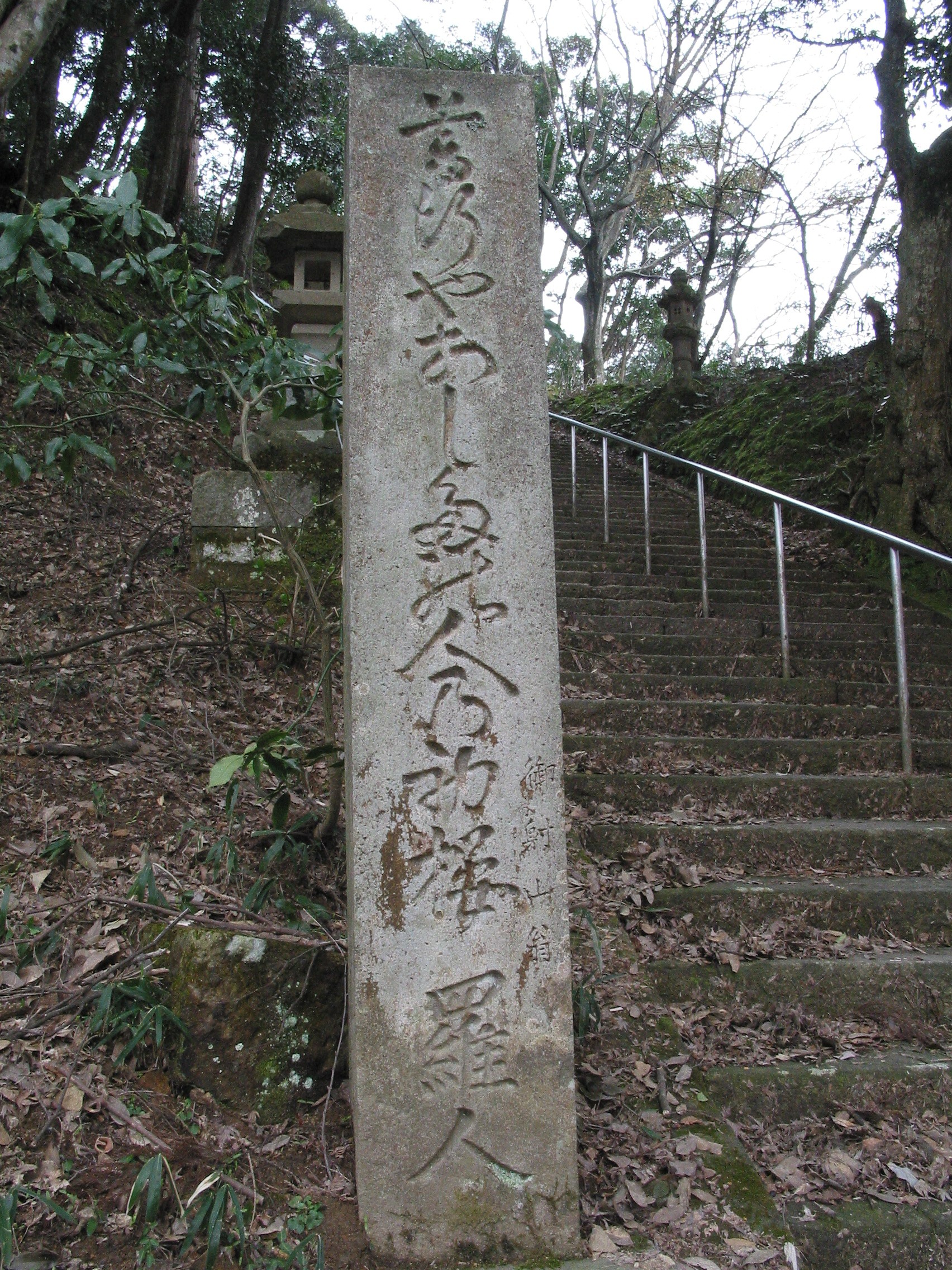 全景