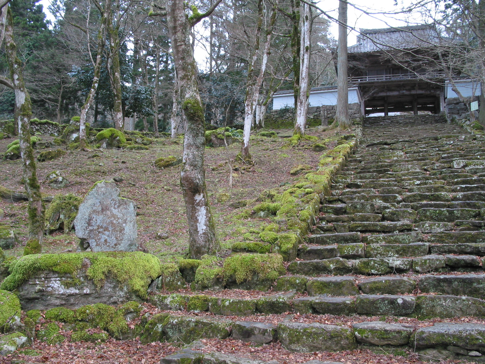 遠景