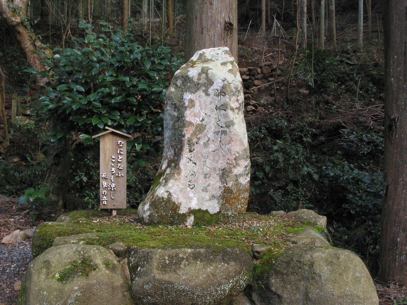 全景