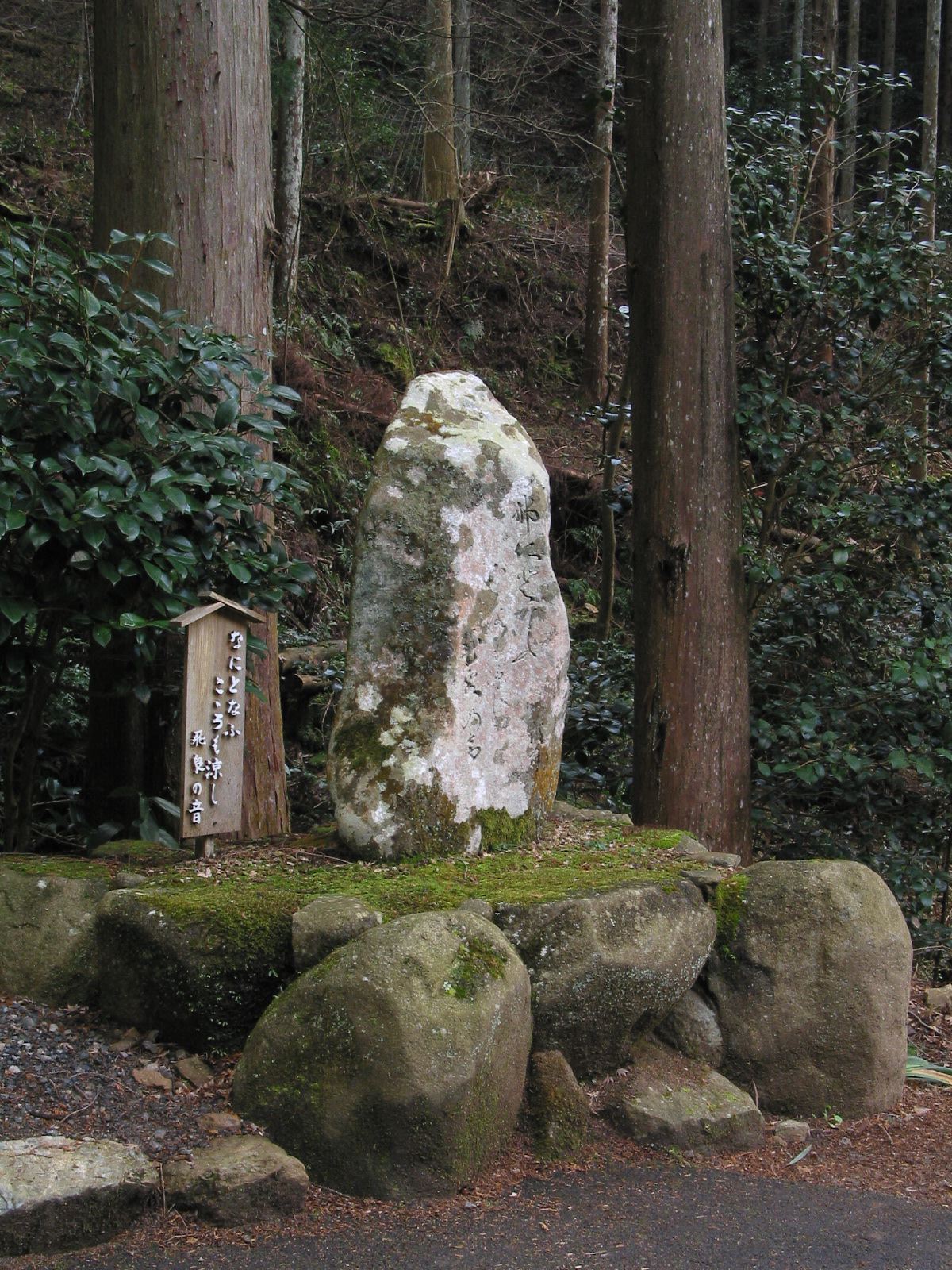 左全景