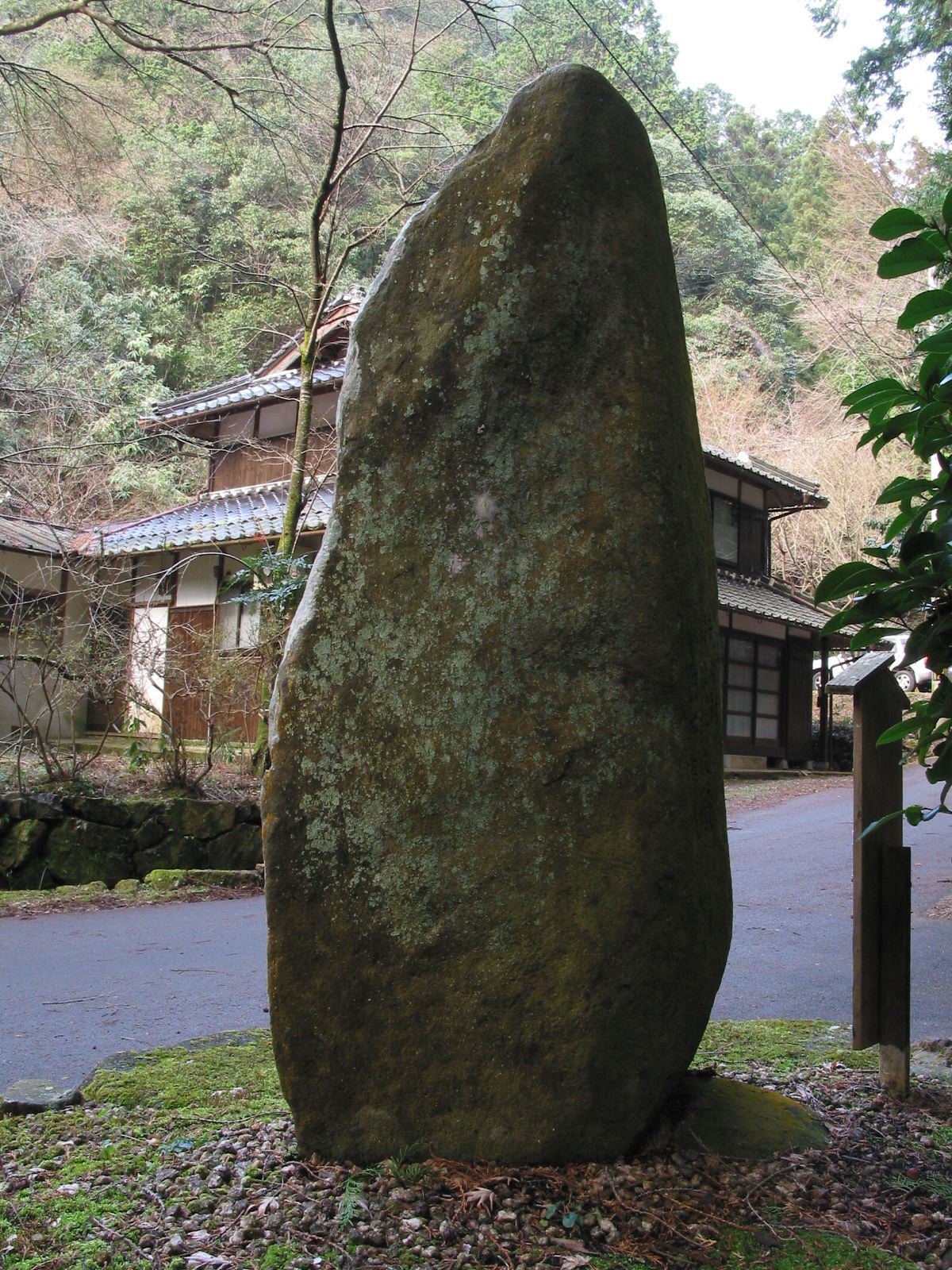 背面