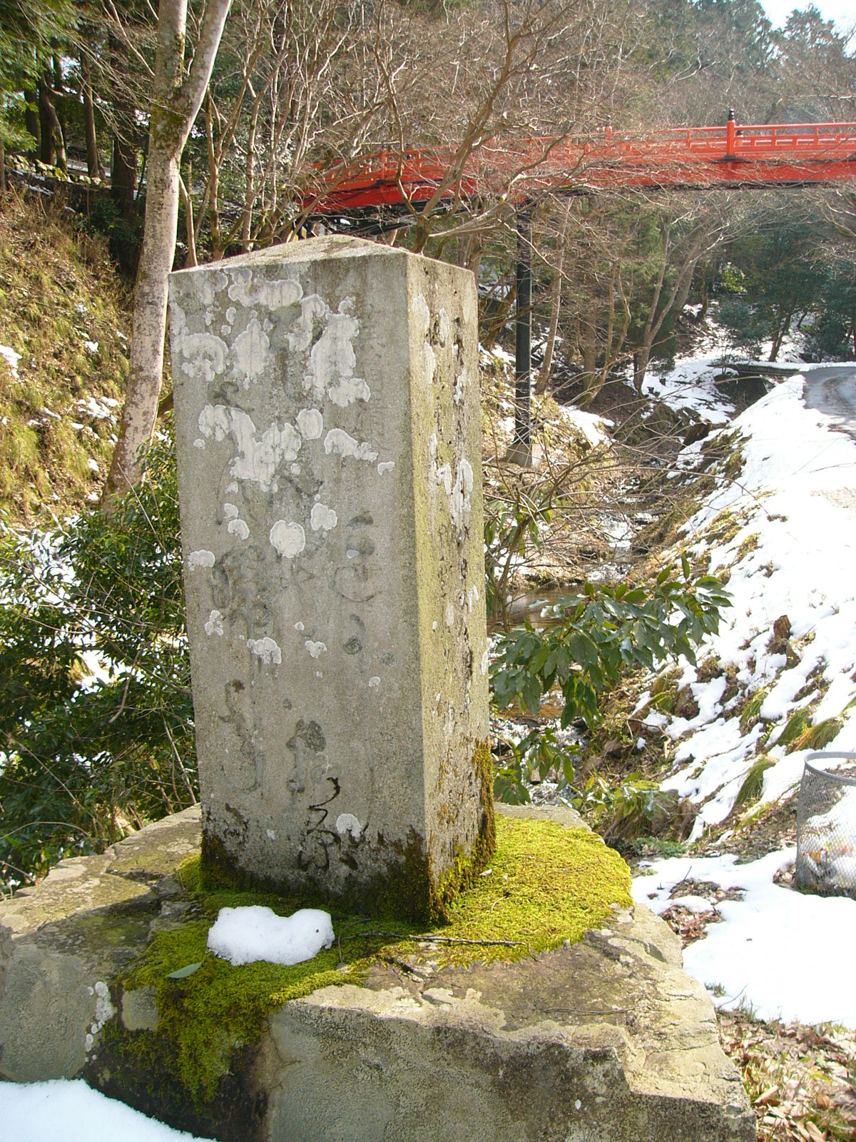 右全景