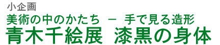 小企画　美術の中のかたち－手で見る造形　青木千絵展　漆黒の身体