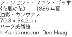 フィンセント・ファン・ゴッホ<br>
《花瓶の花》　1886年夏　油彩・カンヴァス　ハーグ美術館 (c) Kunstmuseum Den Haag