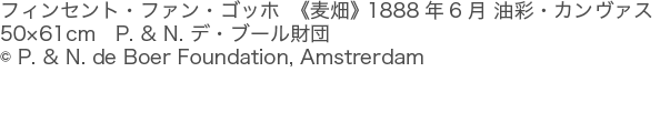 フィンセント・ファン・ゴッホ　《麦畑》 1888年6月 油彩・カンヴァス50×61cm　P. & N. デ・ブール財団<br>
(c) P. & N. de Boer Foundation, Amstrerdam