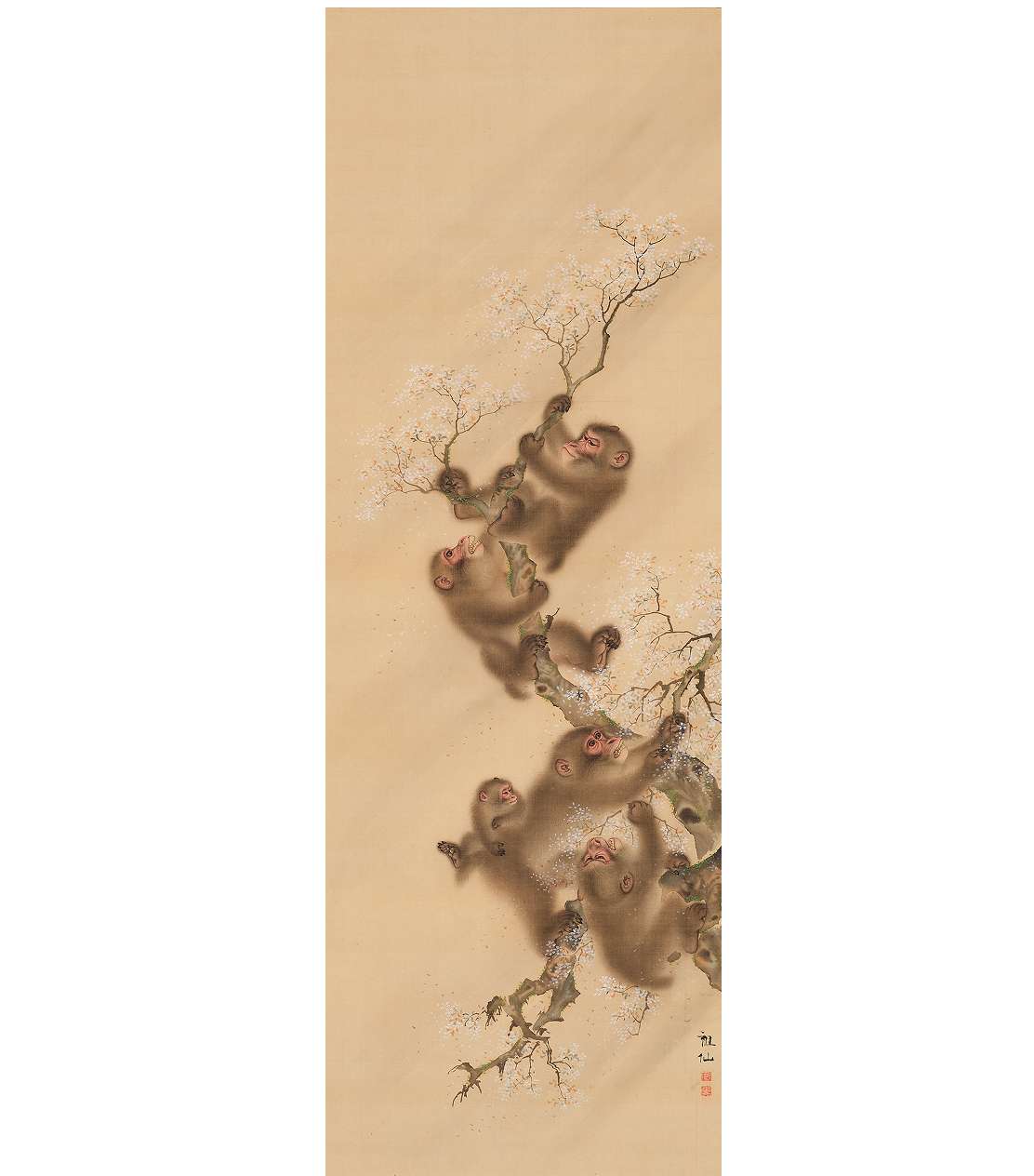 MORI Sosen Five Monkeys and Cherry blossom in Rain Edo period, 18-19th century The Egawa Collection