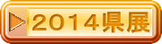 2014Wڍ 
