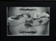 sFACEt@͏d