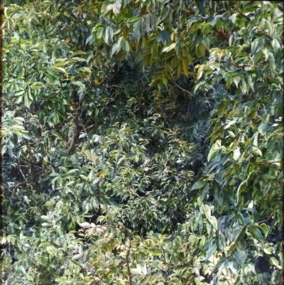 2016県展